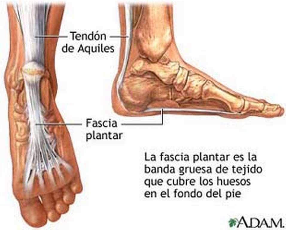 Como librarse del hongo de las uñas en los pies por los métodos públicos